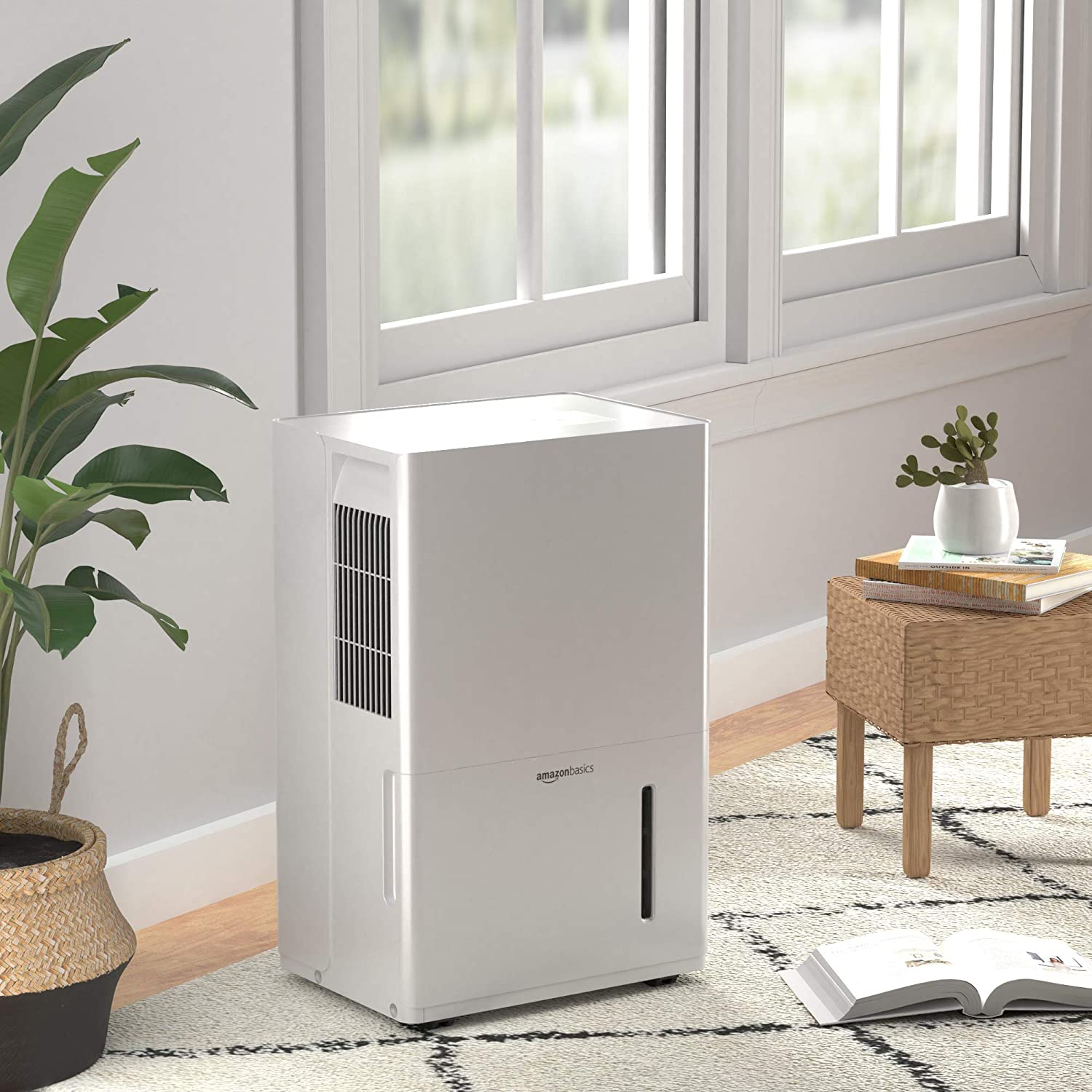 8 Dehumidifier Disadvantages You Didn't Know About Plastic Free Reviews